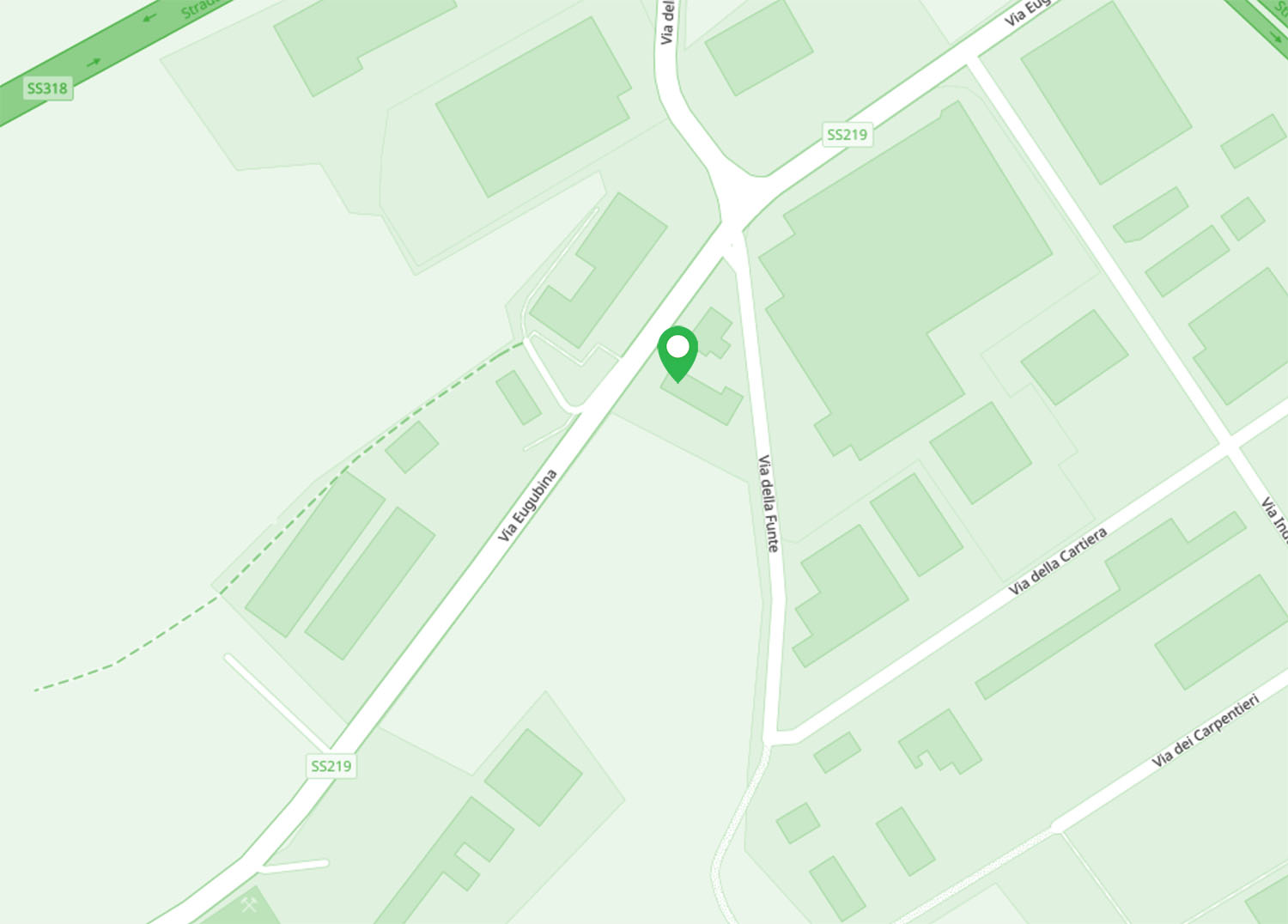 anteprima Google Maps